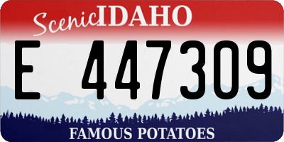 ID license plate E447309