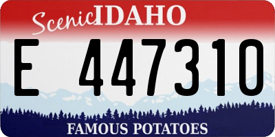 ID license plate E447310