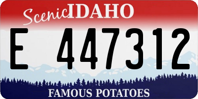 ID license plate E447312