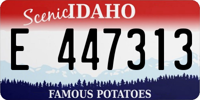 ID license plate E447313