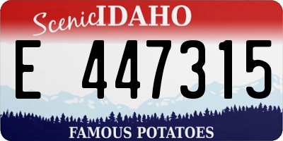 ID license plate E447315