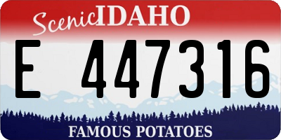 ID license plate E447316