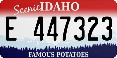 ID license plate E447323