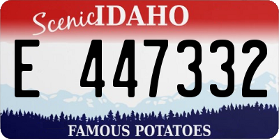 ID license plate E447332