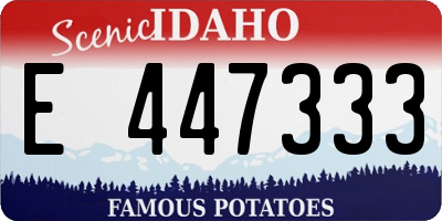 ID license plate E447333