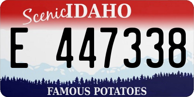 ID license plate E447338