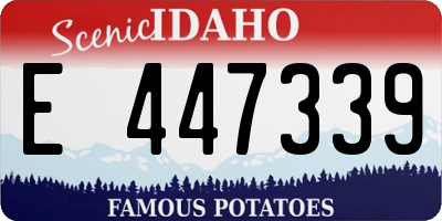 ID license plate E447339