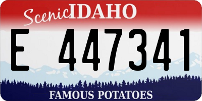 ID license plate E447341