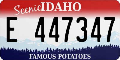 ID license plate E447347