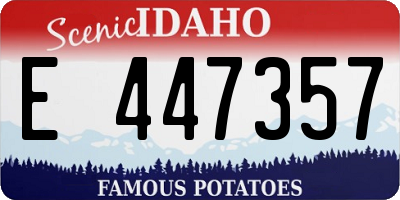 ID license plate E447357