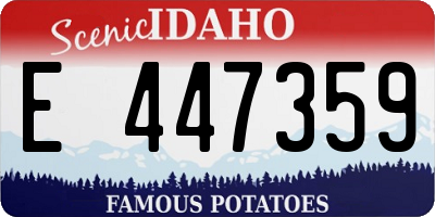 ID license plate E447359