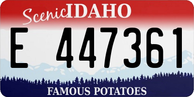 ID license plate E447361