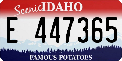 ID license plate E447365