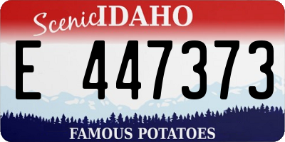 ID license plate E447373