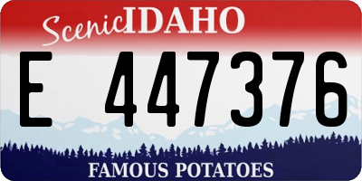 ID license plate E447376