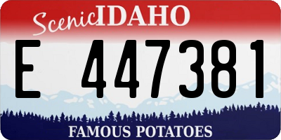 ID license plate E447381