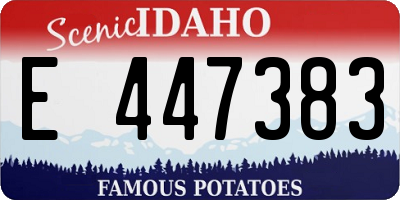 ID license plate E447383