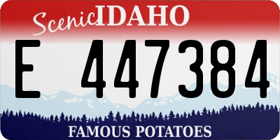 ID license plate E447384