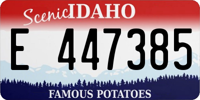ID license plate E447385