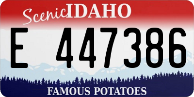 ID license plate E447386