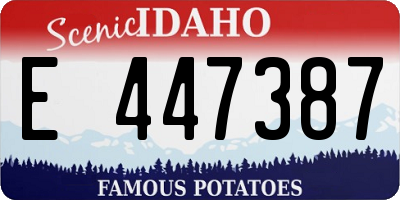 ID license plate E447387