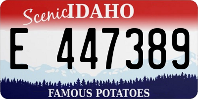 ID license plate E447389