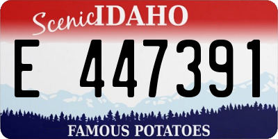 ID license plate E447391