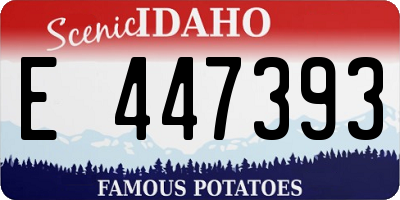 ID license plate E447393