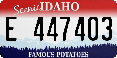 ID license plate E447403