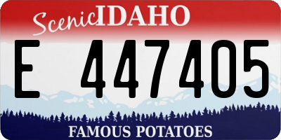 ID license plate E447405