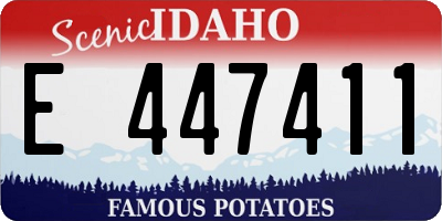 ID license plate E447411