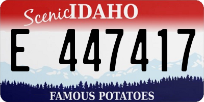ID license plate E447417