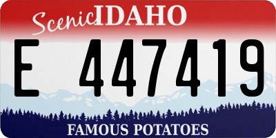 ID license plate E447419