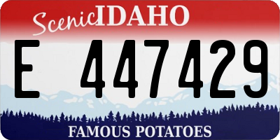 ID license plate E447429