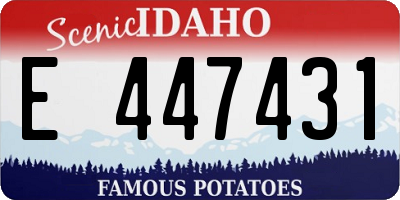 ID license plate E447431