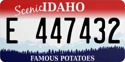 ID license plate E447432
