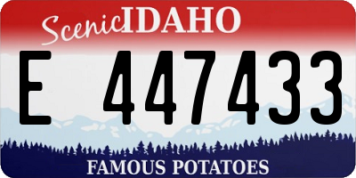 ID license plate E447433