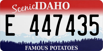 ID license plate E447435