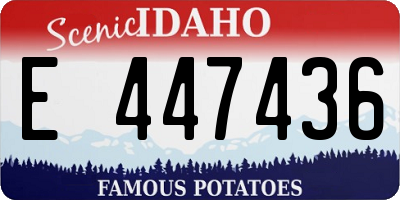 ID license plate E447436