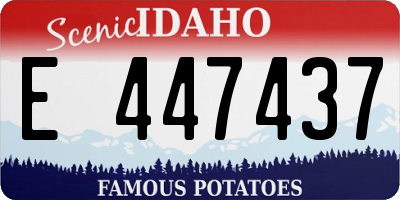 ID license plate E447437