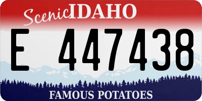 ID license plate E447438