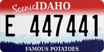 ID license plate E447441