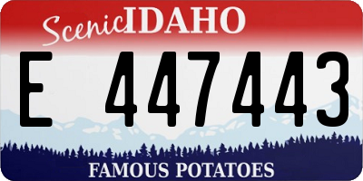 ID license plate E447443