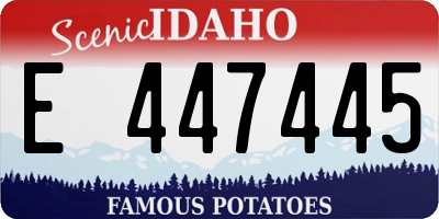ID license plate E447445