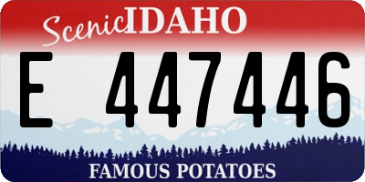 ID license plate E447446