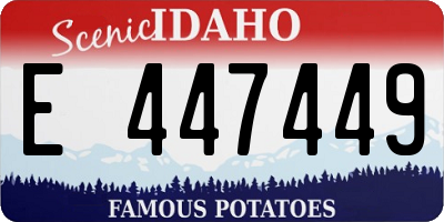 ID license plate E447449