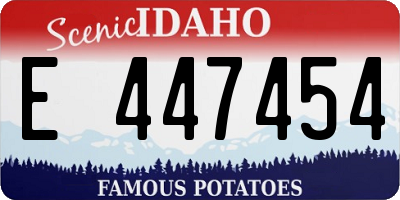 ID license plate E447454