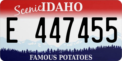 ID license plate E447455