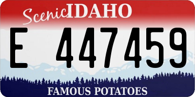 ID license plate E447459