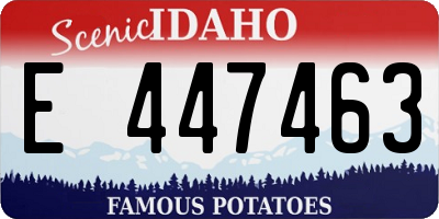 ID license plate E447463